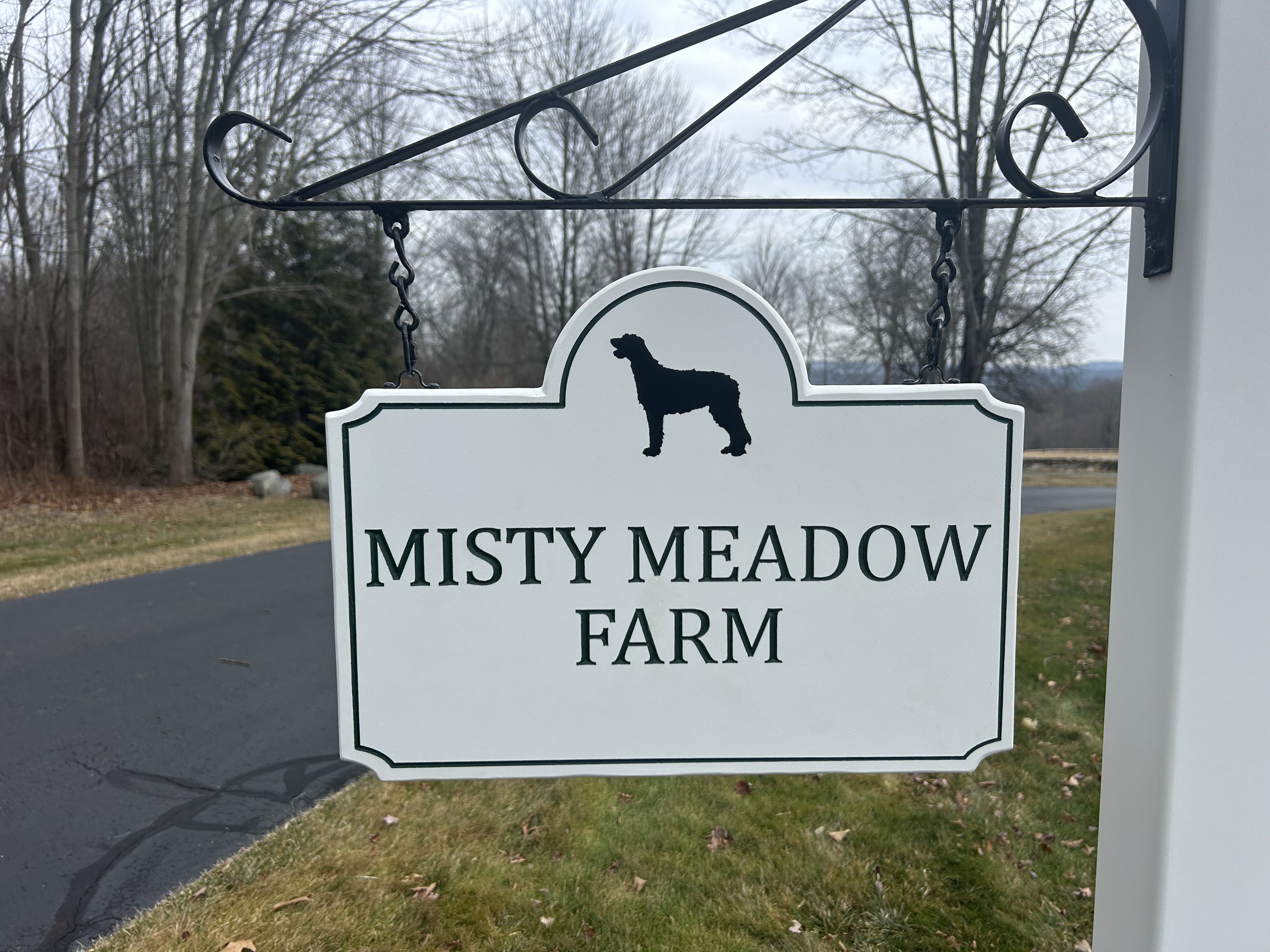 Misty Meadow Farm